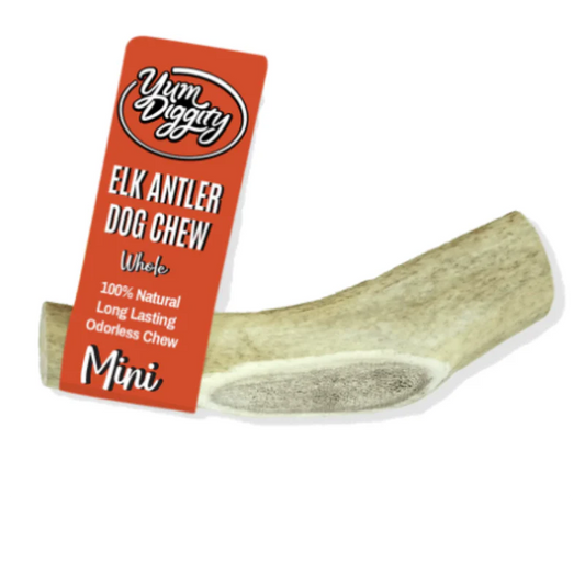 Yum Diggity - Whole Elk Antler Chew URBAN PAW PETS