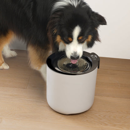 Zeus Oasis Plus Smart Fountain - 6 L URBAN PAW PETS
