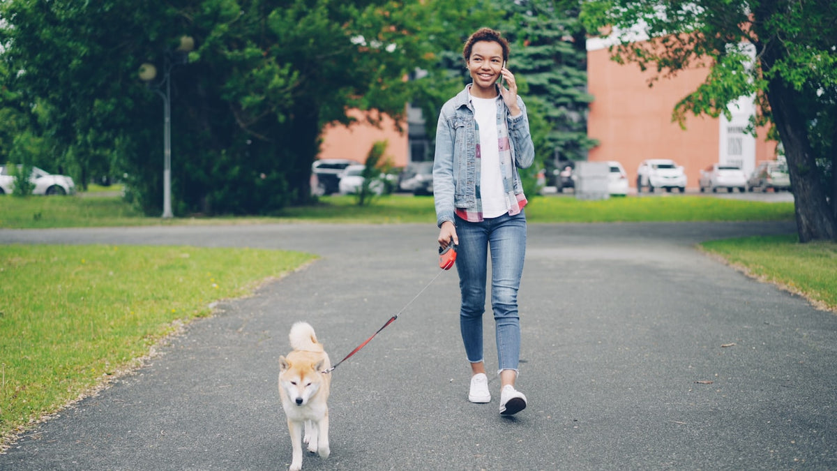 A person walking their dog on a tree-lined path while talking on the phone
