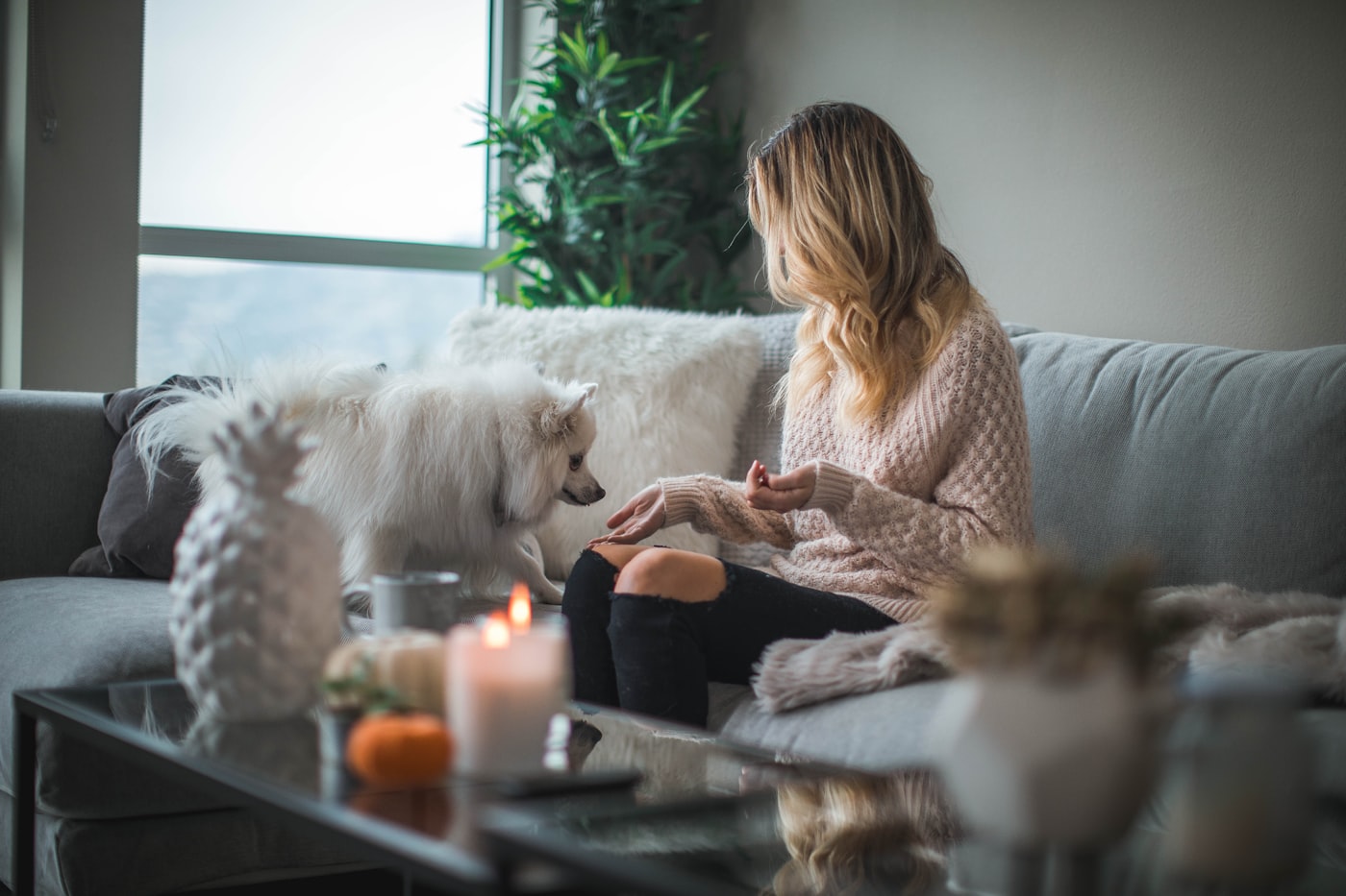 A woman sitting on a sofa feeding her dog a treat at home