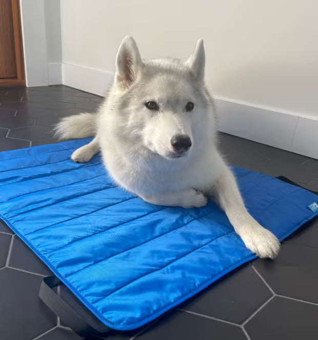 Cool Comfort Mat URBAN PAW PETS