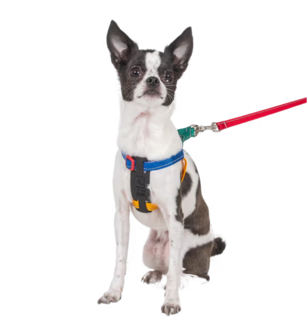 Petite Primary Step In Harness URBAN PAW PETS
