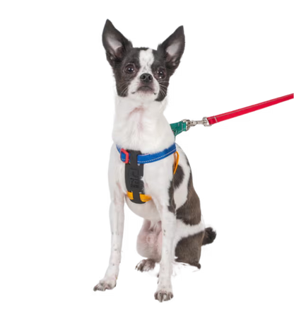 Petite Primary Step In Harness URBAN PAW PETS