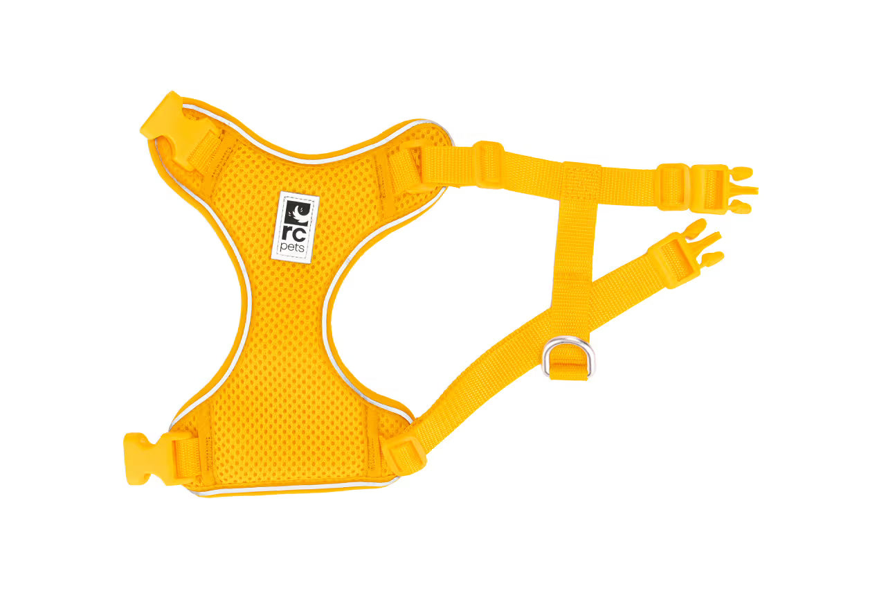 Adventure Kitty Harness URBAN PAW PETS