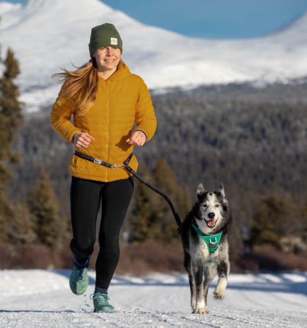 Primary Active Leash URBAN PAW PETS