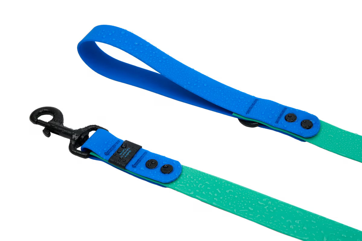 Waterproof Leash URBAN PAW PETS