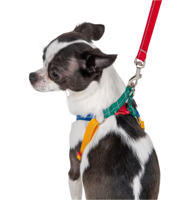 Petite Primary Step In Harness URBAN PAW PETS