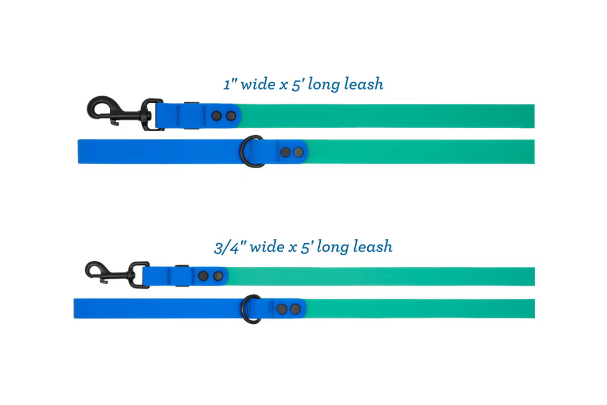Waterproof Leash URBAN PAW PETS