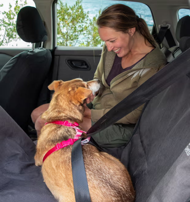 Moto Control Harness URBAN PAW PETS