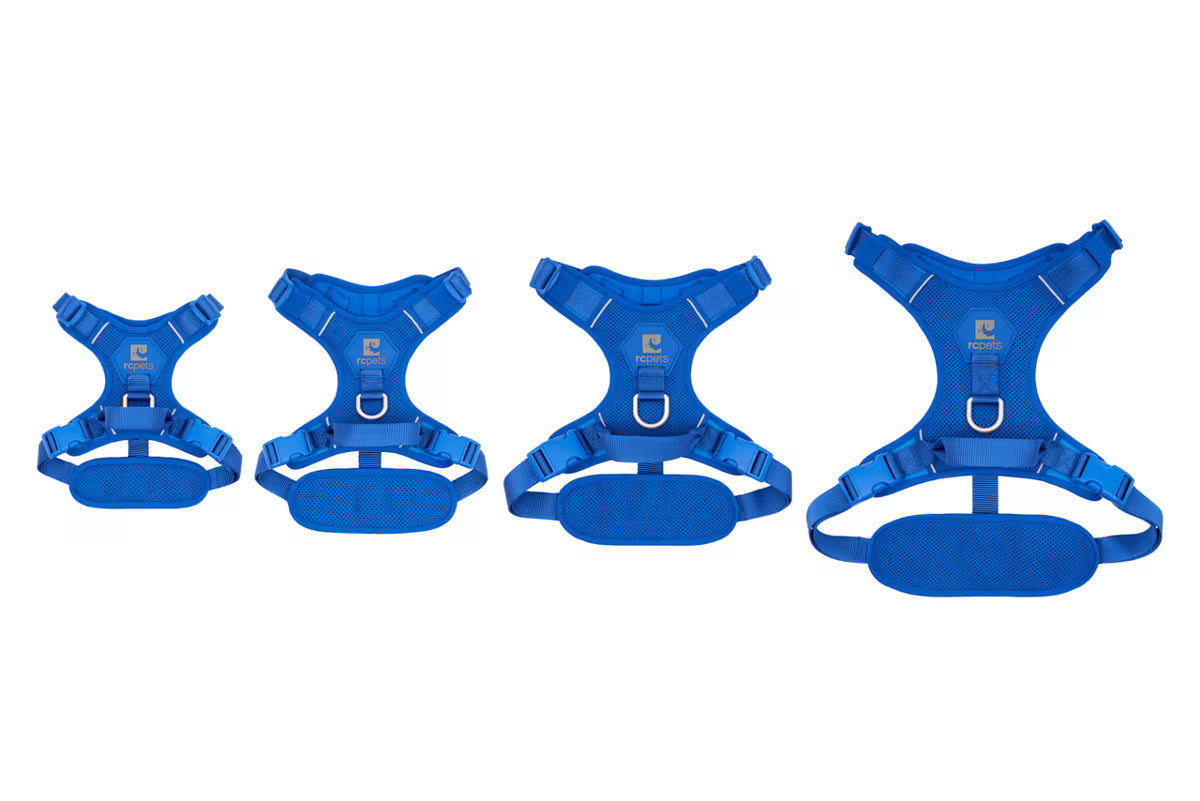 Momentum Control Harness URBAN PAW PETS