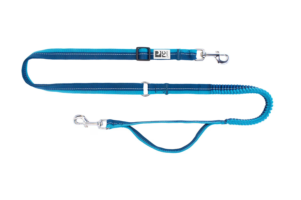 Bungee Active Leash URBAN PAW PETS