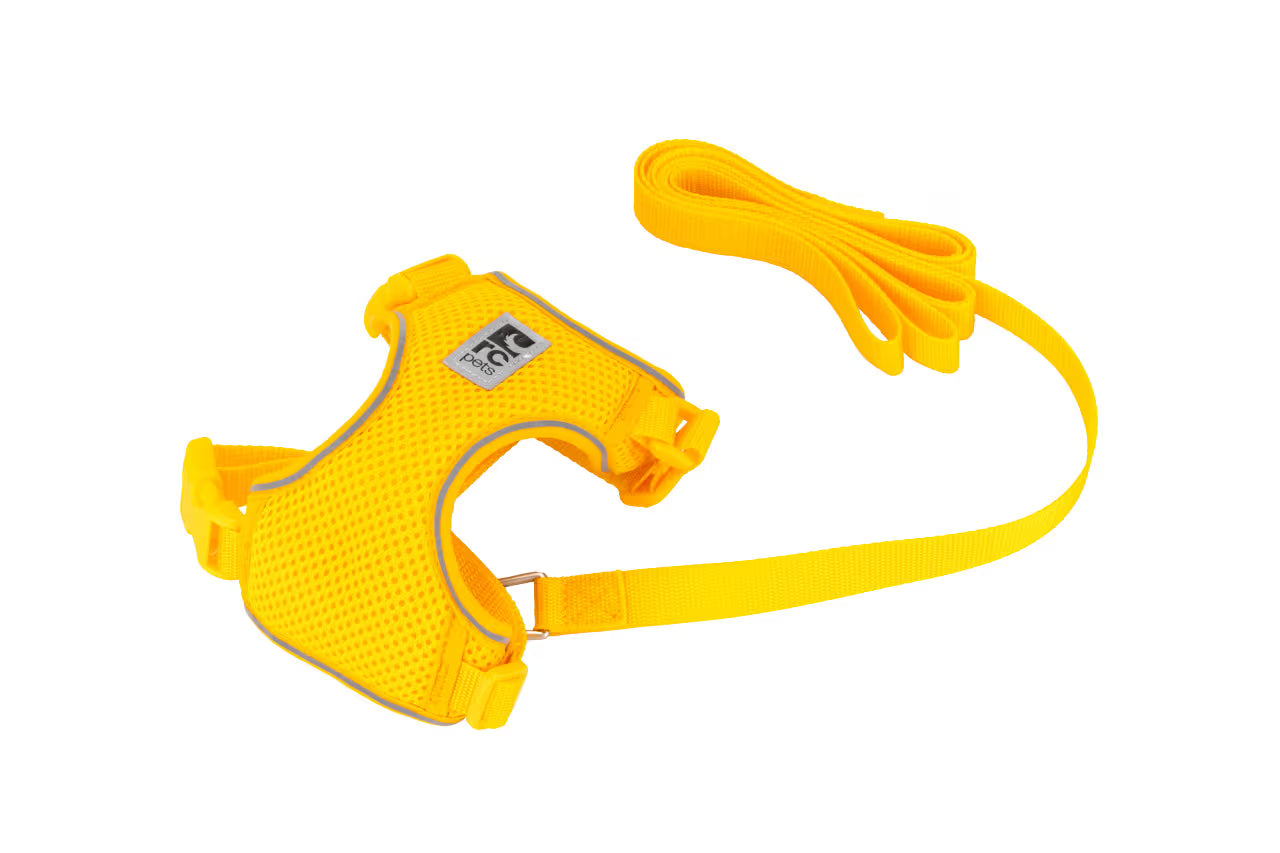 Adventure Kitty Harness URBAN PAW PETS