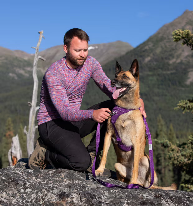 Momentum Control Harness URBAN PAW PETS