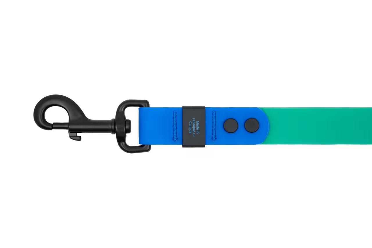 Waterproof Leash URBAN PAW PETS