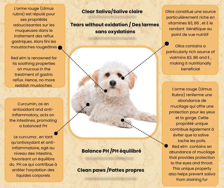 Ollos - Tear Stain Remover