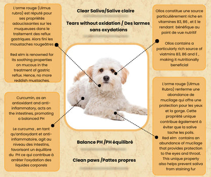 Ollos - Tear Stain Remover URBAN PAW PETS