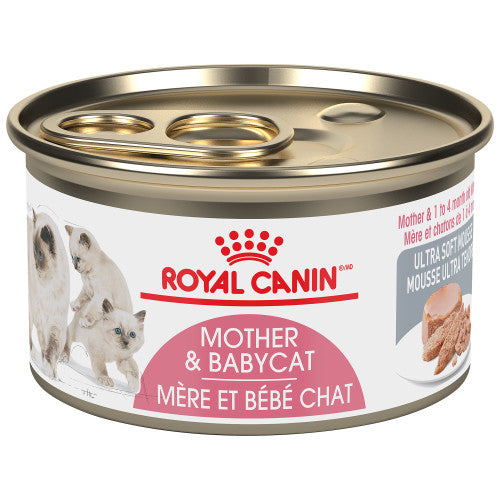 Mother & Babycat Mousseg Royal Canin