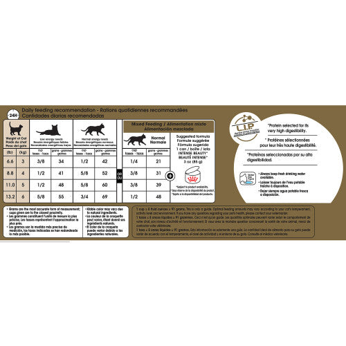 Siamese Royal Canin