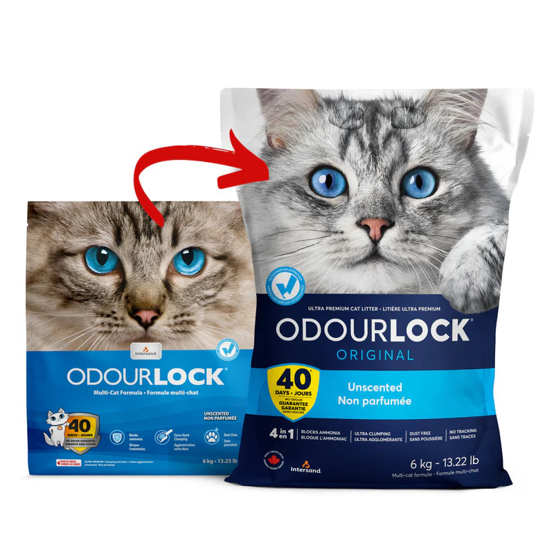 Intersand Cat Litter Odour Lock Unscented 13.2 lb