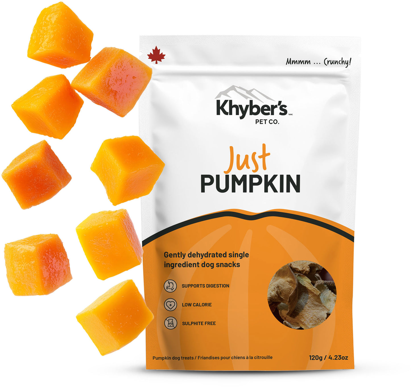 Just Pumpkin - Image 3