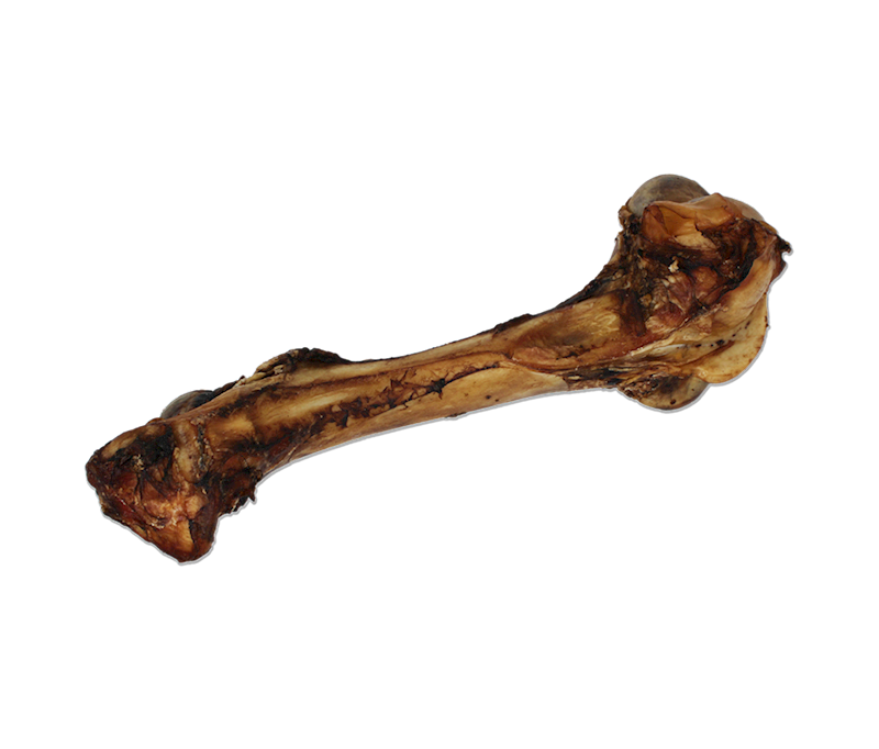 Open Range - Dog - Cured Dino Bone Beef