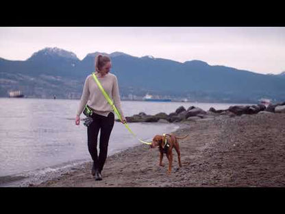 Primary Active Leash