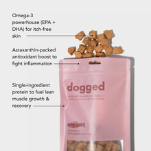 freeze dried salmon dog treats URBAN PAW PETS