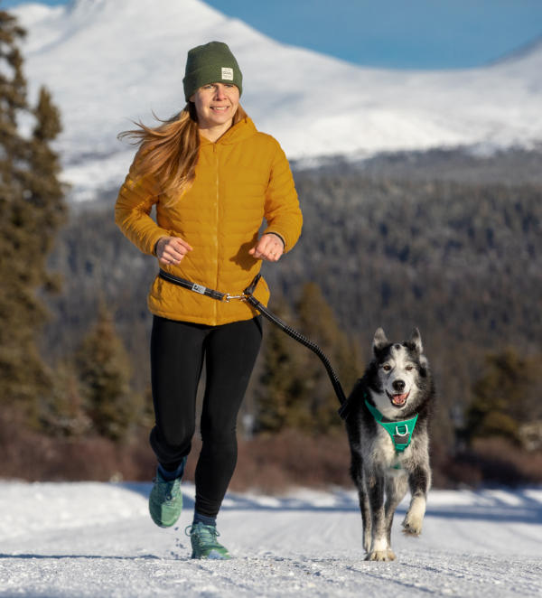 Bungee Active Leash URBAN PAW PETS