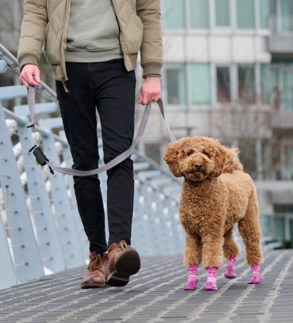 Sporty Pawks URBAN PAW PETS