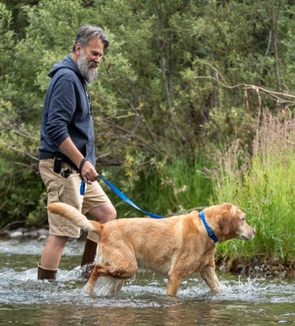 Waterproof Collar URBAN PAW PETS