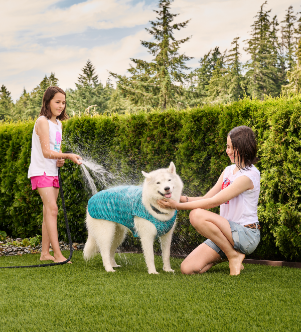 Zephyr Cooling Vest URBAN PAW PETS