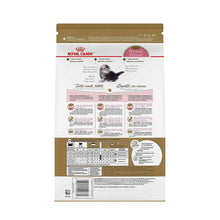 Persian Kitten Royal Canin