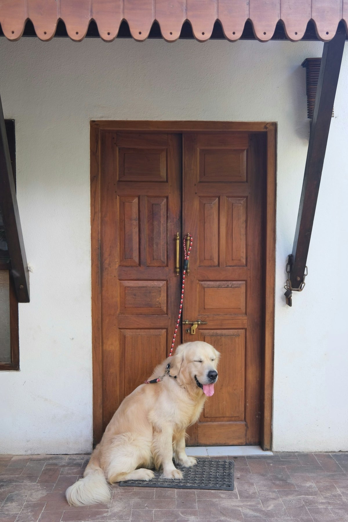 A golden retriever waiting on the doormat by a front door