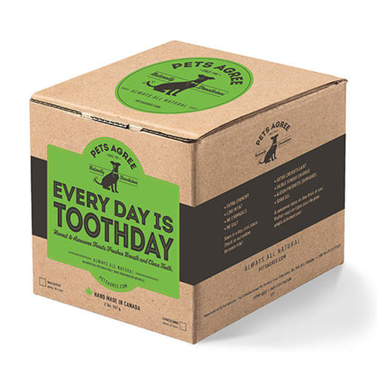 PA  Every Day Is Toothday Grandville I. Pet Treatery