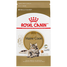 Maine Coon Royal Canin