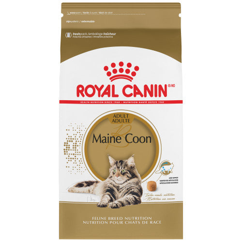 Maine Coon Royal Canin
