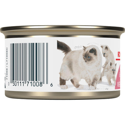 Mother & Babycat Mousseg Royal Canin