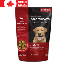 Bison and Saskatoon VitalityDog