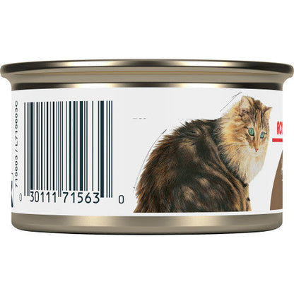 Aging 12+ Thin Slices Royal Canin